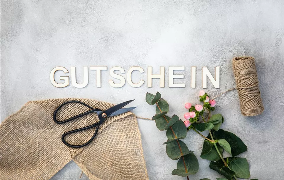 Gutschein Gutschein