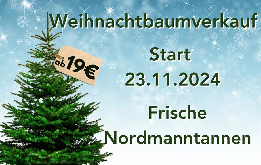 Weihnachtbaumverkauf.jpg